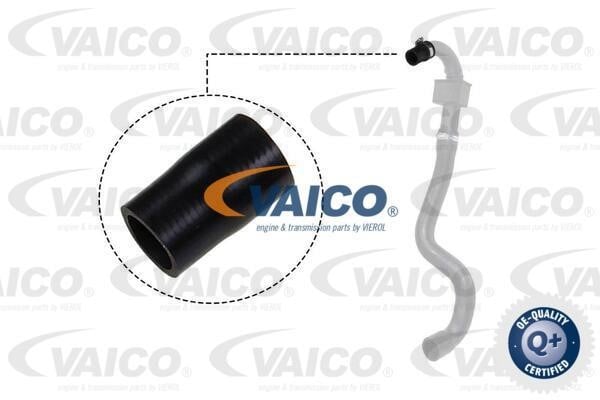 Vaico V460827 Патрубок турбокомпресора V460827: Купити в Україні - Добра ціна на EXIST.UA!