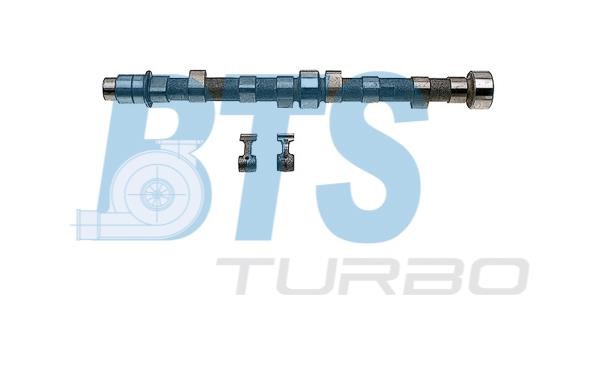 BTS Turbo CP61901 Вал розподільчий, комплект CP61901: Купити в Україні - Добра ціна на EXIST.UA!