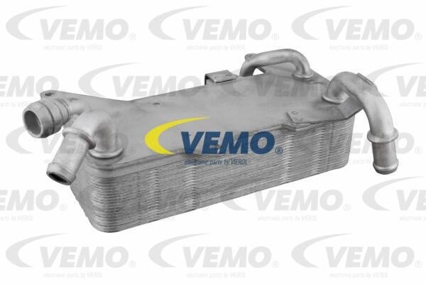 Vemo V10-60-0044 Оливний радіатор, автоматична коробка передач V10600044: Приваблива ціна - Купити в Україні на EXIST.UA!