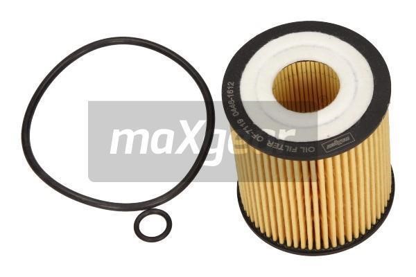Maxgear 26-0893 Фільтр масляний 260893: Приваблива ціна - Купити в Україні на EXIST.UA!