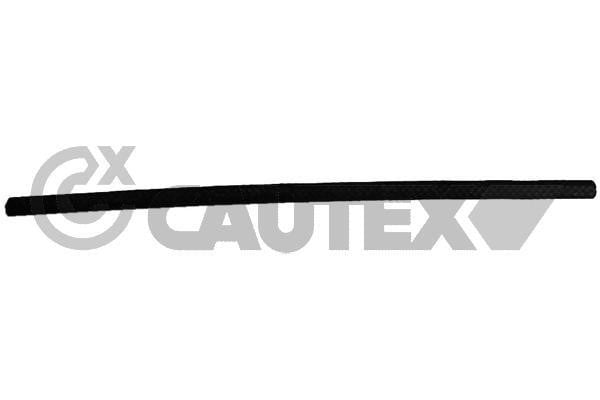 Cautex 753782 Шланг радіатора 753782: Купити в Україні - Добра ціна на EXIST.UA!