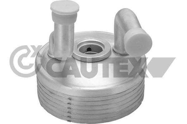 Cautex 462522 Радіатор масляний 462522: Купити в Україні - Добра ціна на EXIST.UA!