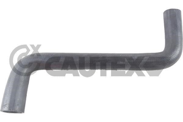 Cautex 769571 Шланг радіатора 769571: Купити в Україні - Добра ціна на EXIST.UA!