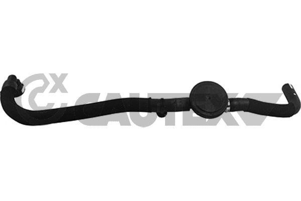 Cautex 764860 Шланг, продування кришки голівки циліндра 764860: Купити в Україні - Добра ціна на EXIST.UA!