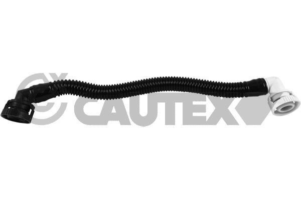 Cautex 764533 Шланг, продування кришки голівки циліндра 764533: Купити в Україні - Добра ціна на EXIST.UA!
