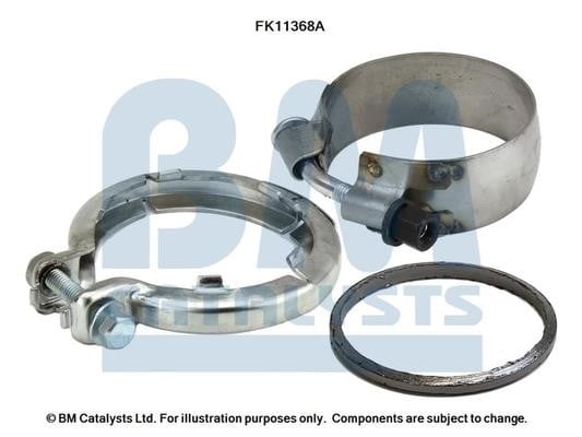 BM Catalysts FK11368 Комплект для монтажу, протисажний/пиловий фільтр FK11368: Купити в Україні - Добра ціна на EXIST.UA!