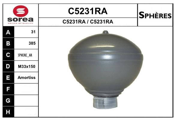SNRA C5231RA Гідроакумулятор C5231RA: Купити в Україні - Добра ціна на EXIST.UA!