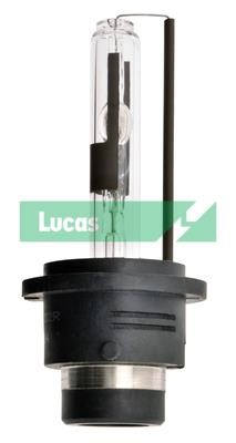 Lucas Electrical LLD2RBL Лампа галогенна 12В LLD2RBL: Приваблива ціна - Купити в Україні на EXIST.UA!