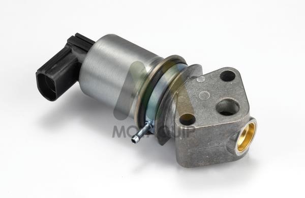 Motorquip LVER348 Клапан рециркуляції відпрацьованих газів EGR LVER348: Купити в Україні - Добра ціна на EXIST.UA!