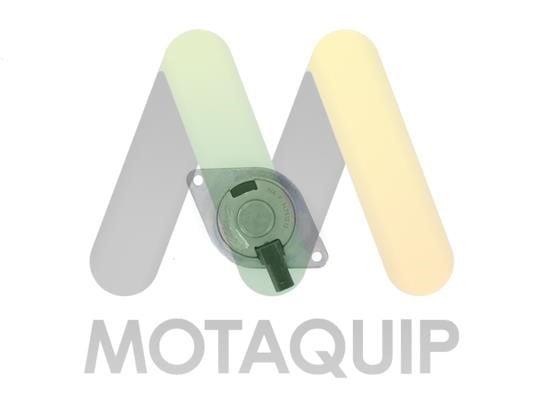 Motorquip LVEP174 Клапан фазорегулятора LVEP174: Купити в Україні - Добра ціна на EXIST.UA!