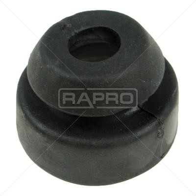 Rapro R51665 Опора, радіатор R51665: Купити в Україні - Добра ціна на EXIST.UA!