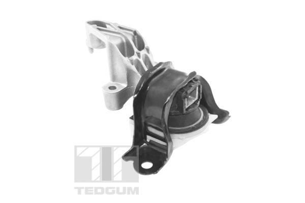TedGum TED25761 Подушка двигуна TED25761: Купити в Україні - Добра ціна на EXIST.UA!
