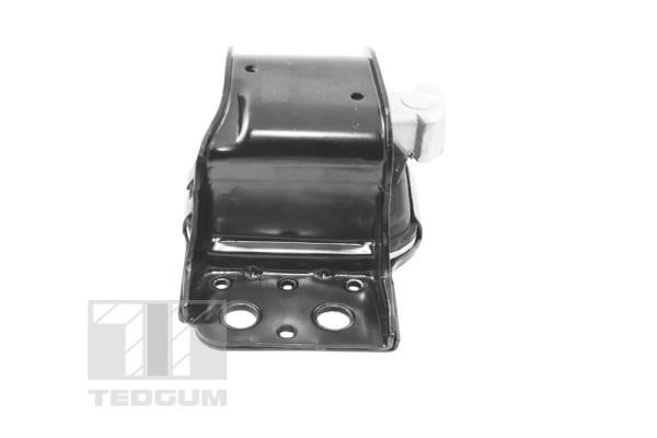 Подушка двигателя TedGum TED42243