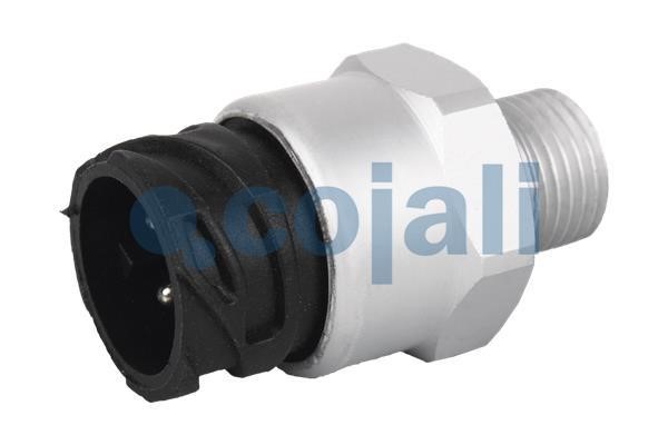 Купити Cojali 2260095 за низькою ціною в Україні!