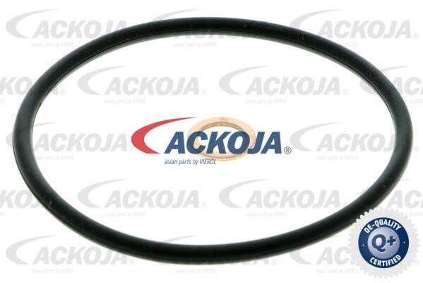 Купити Ackoja A52-0504 за низькою ціною в Україні!