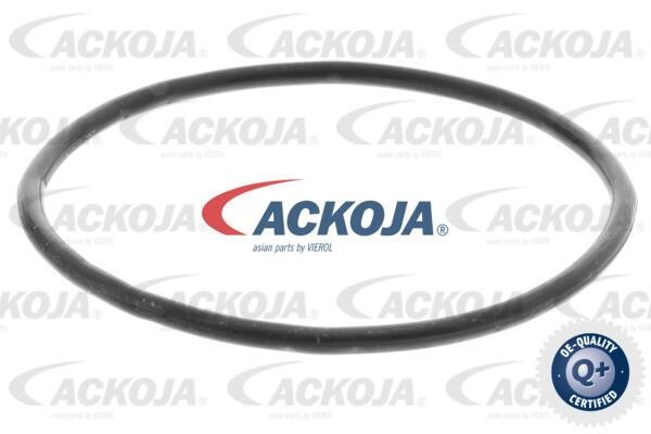 Купити Ackoja A53-81-0005 за низькою ціною в Україні!