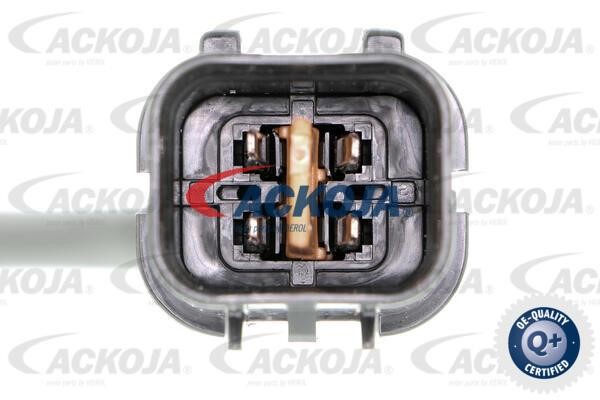 Купити Ackoja A52-76-0019 за низькою ціною в Україні!