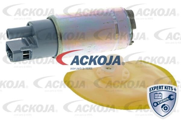 Ackoja A52-09-0013 Паливний насос A52090013: Купити в Україні - Добра ціна на EXIST.UA!