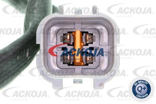 Купити Ackoja A53-76-0007 за низькою ціною в Україні!