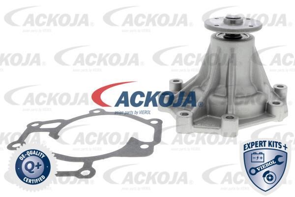 Ackoja A53-0701 Помпа водяна A530701: Купити в Україні - Добра ціна на EXIST.UA!