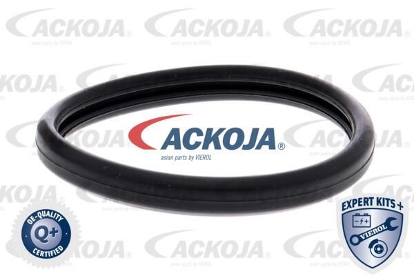 Купити Ackoja A70-99-0031 за низькою ціною в Україні!