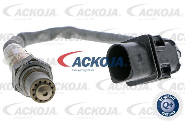 Ackoja A53-76-0008 Датчик A53760008: Купити в Україні - Добра ціна на EXIST.UA!