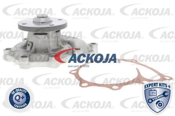 Ackoja A53-0702 Помпа водяна A530702: Купити в Україні - Добра ціна на EXIST.UA!