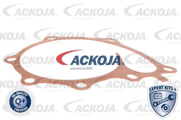Купити Ackoja A53-0702 за низькою ціною в Україні!