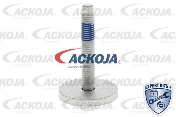 Купити Ackoja A32-0272 за низькою ціною в Україні!