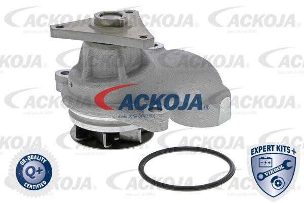 Ackoja A52-0709 Помпа водяна A520709: Купити в Україні - Добра ціна на EXIST.UA!