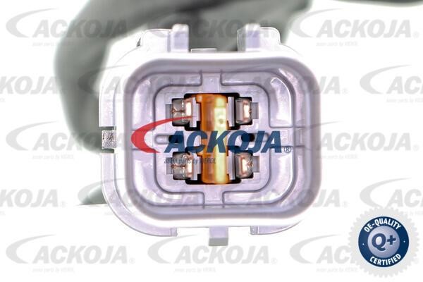 Купити Ackoja A53-76-0012 за низькою ціною в Україні!