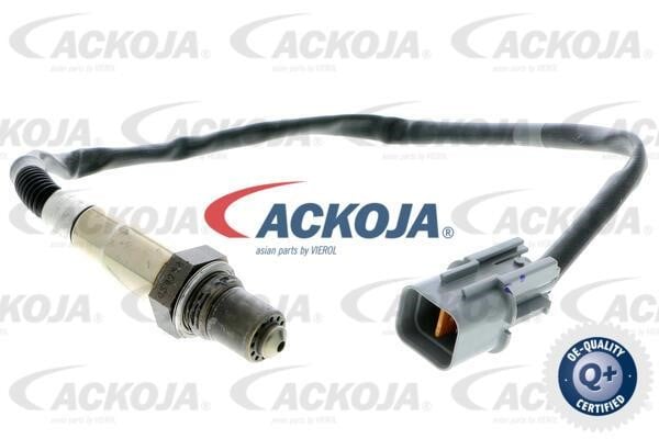 Ackoja A53-76-0012 Датчик A53760012: Купити в Україні - Добра ціна на EXIST.UA!