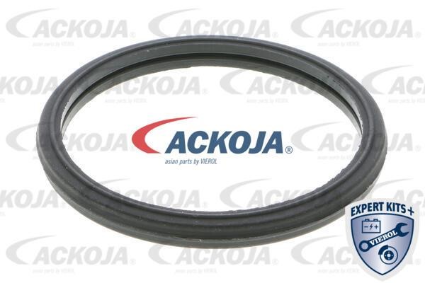 Купити Ackoja A64-99-0006 за низькою ціною в Україні!