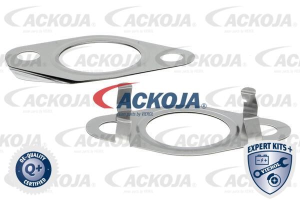 Купити Ackoja A52-63-0014 за низькою ціною в Україні!