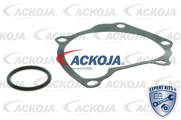 Купити Ackoja A52-50004 за низькою ціною в Україні!