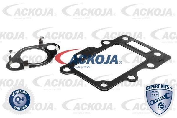 Купити Ackoja A52-63-0016 за низькою ціною в Україні!