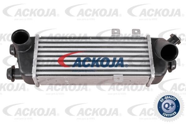 Ackoja A53-60-0006 Охолоджувач наддувального повітря A53600006: Купити в Україні - Добра ціна на EXIST.UA!