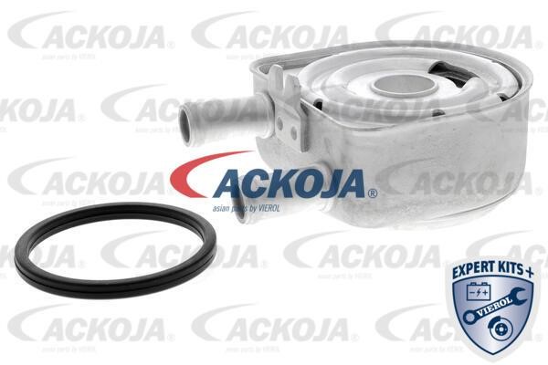 Ackoja A52-60-0010 Охолоджувач оливи, моторна олива A52600010: Купити в Україні - Добра ціна на EXIST.UA!