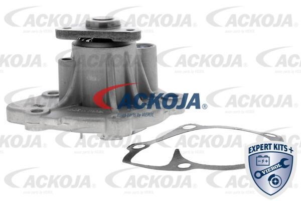 Ackoja A53-50003 Помпа водяна A5350003: Купити в Україні - Добра ціна на EXIST.UA!