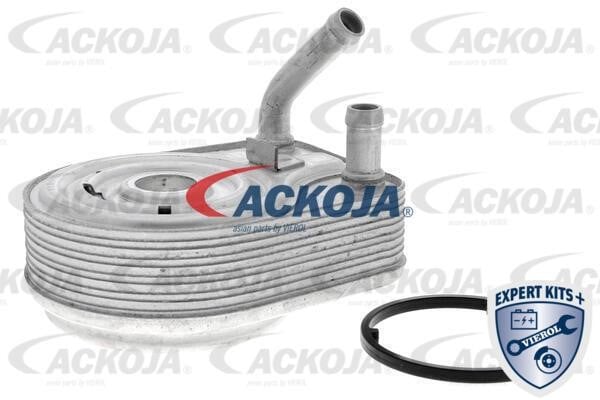 Ackoja A52-60-0008 Охолоджувач оливи, моторна олива A52600008: Купити в Україні - Добра ціна на EXIST.UA!