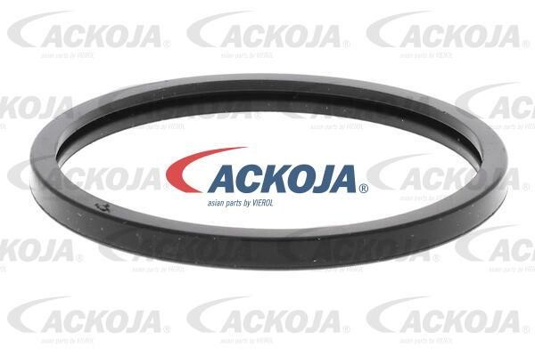 Купити Ackoja A38-99-0003 за низькою ціною в Україні!