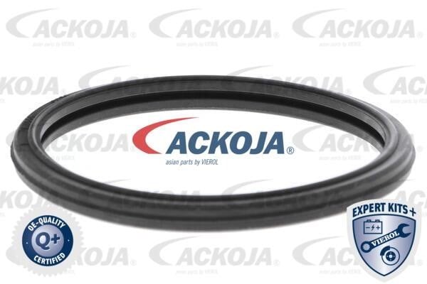 Купити Ackoja A38-99-0015 за низькою ціною в Україні!