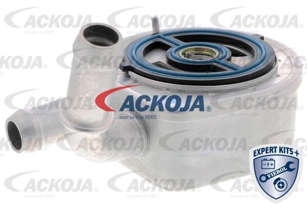 Ackoja A32-60-0002 Охолоджувач оливи, моторна олива A32600002: Приваблива ціна - Купити в Україні на EXIST.UA!