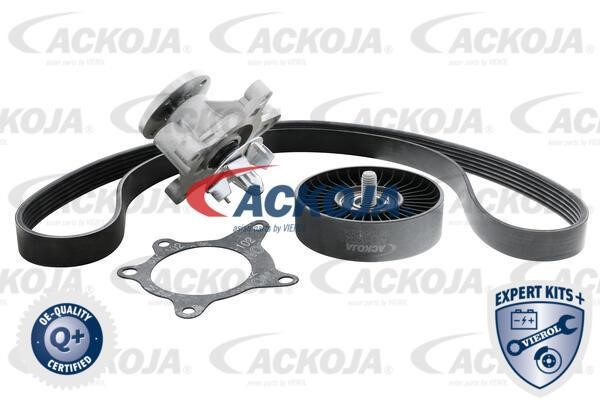 Ackoja A52-0207 Ремінь поліклиновий, комплект A520207: Купити в Україні - Добра ціна на EXIST.UA!
