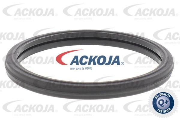 Купити Ackoja A63-99-0004 за низькою ціною в Україні!