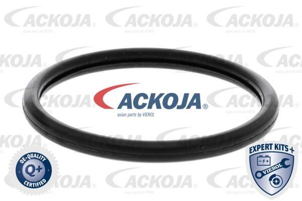 Купити Ackoja A52-99-0015 за низькою ціною в Україні!