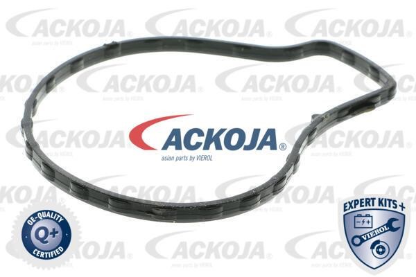 Купити Ackoja A70-50006 за низькою ціною в Україні!