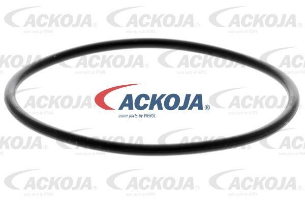 Купити Ackoja A70-0197 за низькою ціною в Україні!