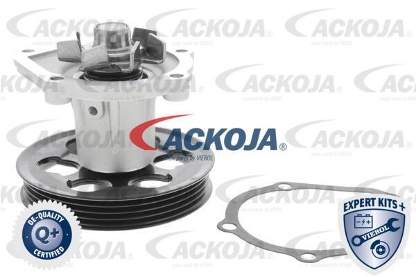 Ackoja A70-50009 Помпа водяна A7050009: Купити в Україні - Добра ціна на EXIST.UA!