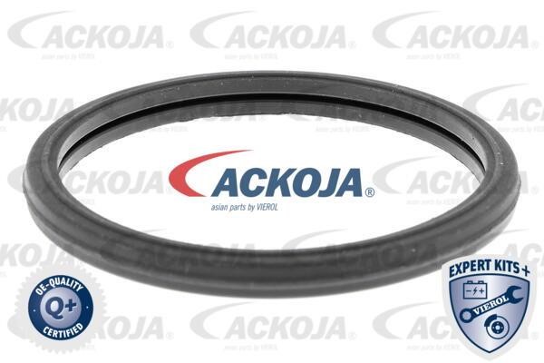 Купити Ackoja A70-99-0013 за низькою ціною в Україні!